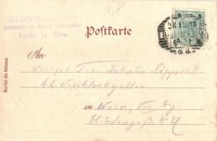 Baden bei Wien, Gruss vom Eisernen Tor, Österreichischer Touristen-Club, Schutzhaus. Verlag Jul. Muu...