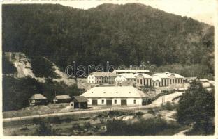 1942 Felsőbánya, Baia Sprie; zúzda / crushing mills. photo