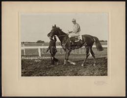 1929 Alagi lóverseny, Privátspass ló, Selmeczy zsoké, Faragó Újpest jelzett fotója, kartonra kasírozva, szép állapotban, 17×23 cm