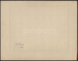 1929 Alagi lóverseny, "Privátspass ló", Selmeczy zsoké, Faragó Újpest jelzett fotója, kart...