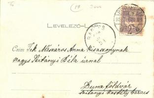 1900 Budapest II. Lipótmező, Lipótmezei tébolyda, elmegyógyintézet. Kosmos (EK)