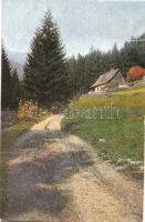 10 db RÉGI magyar és külföldi városképes lap / 10 pre-1945 Hungarian and European town-view postcard...