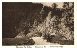 Sztracenai-völgy, Stracenovska dolina, Stratena; Kőkapu a dobsinai jégbarlang mellett, lovaskocsi / Rock gate next to the Dobsina ice cave, horse cart (Rb)