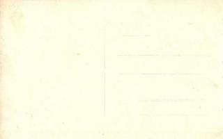 Rozsnyófürdő, (Roznavské) Roznava-kupele; Vasas-gyógyfürdő / spa. photo