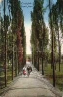 Érsekújvár, Nové Zámky; Vasúti fasor, kerékpáros férfi / railway promenade with man on bicycle (EK)