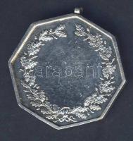 1913. "Diadal Kerékpár Kör" Ag díjérem, 13,3g T:2