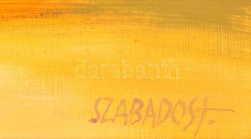Szabados János (1937-): Vízpart. Olaj, farost jelzett, keretben, 50×70 cm