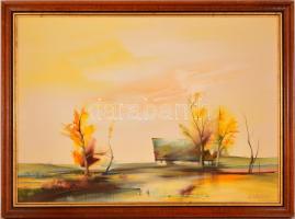 Szabados János (1937-): Vízpart. Olaj, farost jelzett, keretben, 50×70 cm