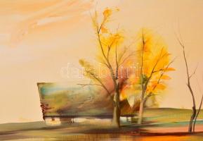 Szabados János (1937-): Vízpart. Olaj, farost jelzett, keretben, 50×70 cm