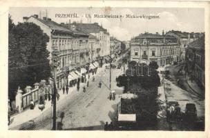 Przemysl, Ul. Mickiewicza / street view (pinhole)