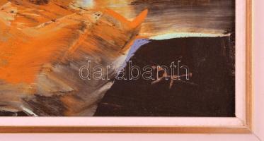 Darabont Tamás (1930-): Vízpart. Olaj, farost, jelzett, keretben, 40×60 cm