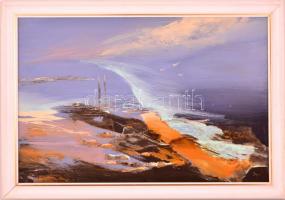 Darabont Tamás (1930-): Vízpart. Olaj, farost, jelzett, keretben, 40×60 cm