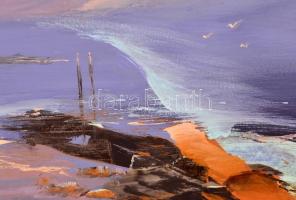 Darabont Tamás (1930-): Vízpart. Olaj, farost, jelzett, keretben, 40×60 cm