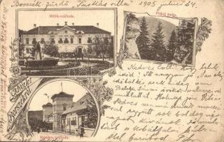 1905 Borszék, Borsec; Mélik és Remény szálloda, Pokol torka / hotels. Art Nouveau, floral (lyuk / hole)