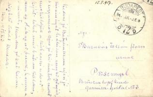 1917 Kisbacon, Batanii Mici; kúria udvara / park of the villa. photo  (EK)