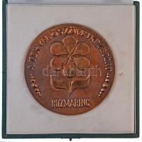 ~1980. "A Termelőszövetkezetért - Rozmaring" kétoldalas Br plakett, előlapon Pesthidegkút ...