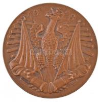 Lengyelország 1928. "GENERAŁ JÓZEF BEM 1794-1850" kétoldalas Br emlékérem (55mm) T:1-,2 ki...