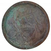 Domonkos Béla (1934-) DN "Ráday Pál" öntött Br emlékplakett (108mm) T:2 patina