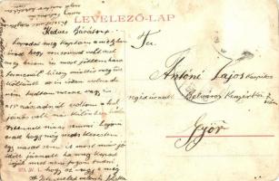 Putnok, Gróf Serényi kastély. W.L. 573.  (szakadás / tear)