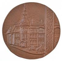 DN "Szentes város díszpolgára" Br emlékplakett (102mm) T:2