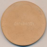 Matzon Frigyes (1909-1986) 1949. "Budapesti Tekéző Alszövetség" kerámia emlékérem (75mm) T...