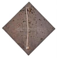 1971. "BHSB - Championád Budapest" zománcozott fém jelvény (50mm) T:2