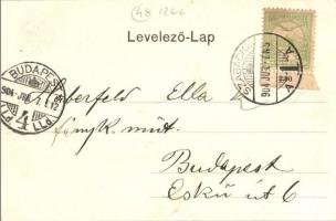 1904 Szabadka, Subotica; Szentháromság szobor és a Batthyány utca, Grünbaum Mór üzlete. Kiadja Vig. ...