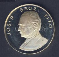 Jugoszlávia DN "Tito" Ag emlékérem 14,4g T:PP