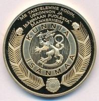 Finnország DN 1939-1940 Téli Háború aranyozott fém emlékérem (38mm) T:PP Finland ND 1939-1940 Winter War gold plated metal medallion (38mm) C:PP
