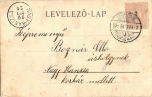 1899 Sopron, Oedenburg; Irgalmas Nővérek leánytanodája, Gőz és kádfürdő. Kiadja L. Kummert No. 107. ...