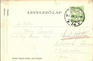 1911 Törökbálint, vár. Kiadja Gündert Mátyás, Izeli felvétele (szakadás / tear)