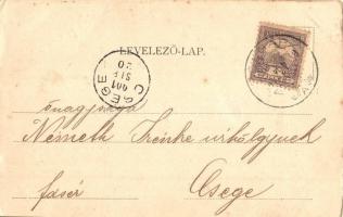 1901 Polgár, Tiszapolgár; Városháza, Római katolikus templom, Nagy vendéglő, étterem (fl)