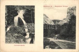 1913 Bozovics, Bozovici; Bozovicser Strasse, Coronini Quelle / Bozovicsi út, Coronini forrás. Kiadja Scheitzner Ignatz / road, thermal spring (szakadás / tear)