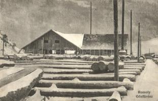 Romoly, Romuli (Máramaros); Hoffmann-féle turbina és gőzfűrész telep télen. Tuth Gyula kiadása / sawmill in winter (Rb)