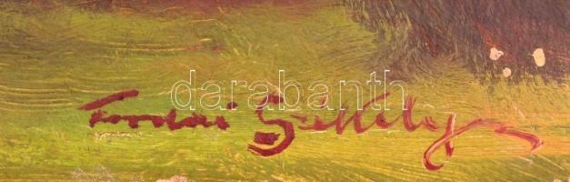 Tordai Székely Mihály (1890-1940): Parkrészlet. Olaj, karton, festék hibákkal a szélénél, 25×35 cm