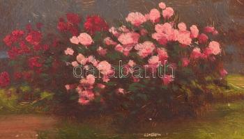 Tordai Székely Mihály (1890-1940): Parkrészlet. Olaj, karton, festék hibákkal a szélénél, 25×35 cm