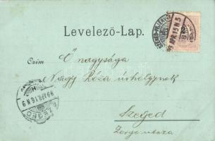 1899 Székesfehérvár, Vörösmarty szobor. Kiadja Klökner Pál (fl)