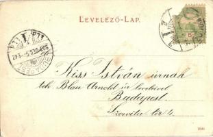 1903 Miskolc, Szemere utca, sínek. Fényképezte Forstné Váncza Emma (EK)