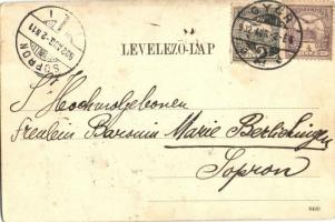 1902 Győr, Városháza. Kiadja Nitsmann József (kopott sarkak / worn corners)