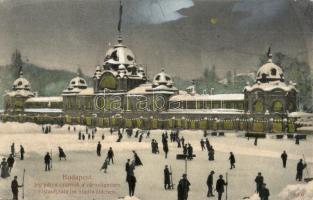 1908 Budapest XIV. Városliget, Jégpálya csarnok télen, jégkorcsolyázók, téli sport. Taussig A. 9605. / Eislaufplatz / winter sport, ice skate (EK)