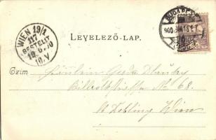 1900 Budapest I. Szent Gellért-hegy, gőzhajók. Divald Károly 55. sz. (EK)