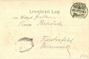 1901 Budapest I. Látkép a királyi palotától és Lánchíd, Bazilika, gőzhajók. Gustav Ertel Art Nouveau...