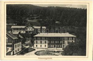 1909 Feketehegyfürdő, Merény, Nálepkovo; Thököly ház. Kiadja Lomniczy V. / villa, spa (EK)