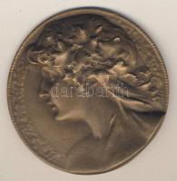 Ausztria cca 1900. Női fej, nagyalakú Br plakett. Szign:Jos.Prinz T:2