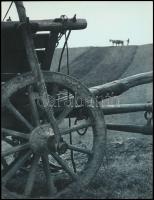 cca 1975 Gebhardt György (1910-1993) budapesti fotóművész hagyatékából 2 db vintage fénykép, jelzés ...