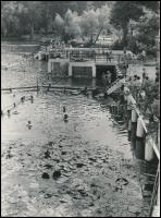 cca 1967 Hévízi gyógytó és gyógyfürdő, 13 db színes diapozitív felvétel a tóban merülő könnyűbúvárok...