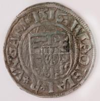 1516K-G Denár Ag "II. Ulászló" (0,57g) T:2
Hungary 1516K-G Denar Ag "Wladislaus II&q...