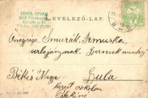 1911 Sopron, Déli pályaudvar, Vasútállomás, lovaskocsi. Kiadja Kummert Lajos utóda 290. sz. (fl)