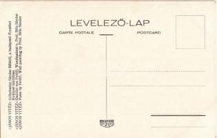 Budapest V. Egyetem utca 5. Erzsébet Királyné Szálló étterem és söröző pince, Sándor Béla falfestmén...