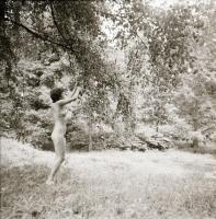 cca 1985 Esztétikai élmények tobzódása, szolidan erotikus felvételek, 9 db vintage negatív, 4x6 cm é...